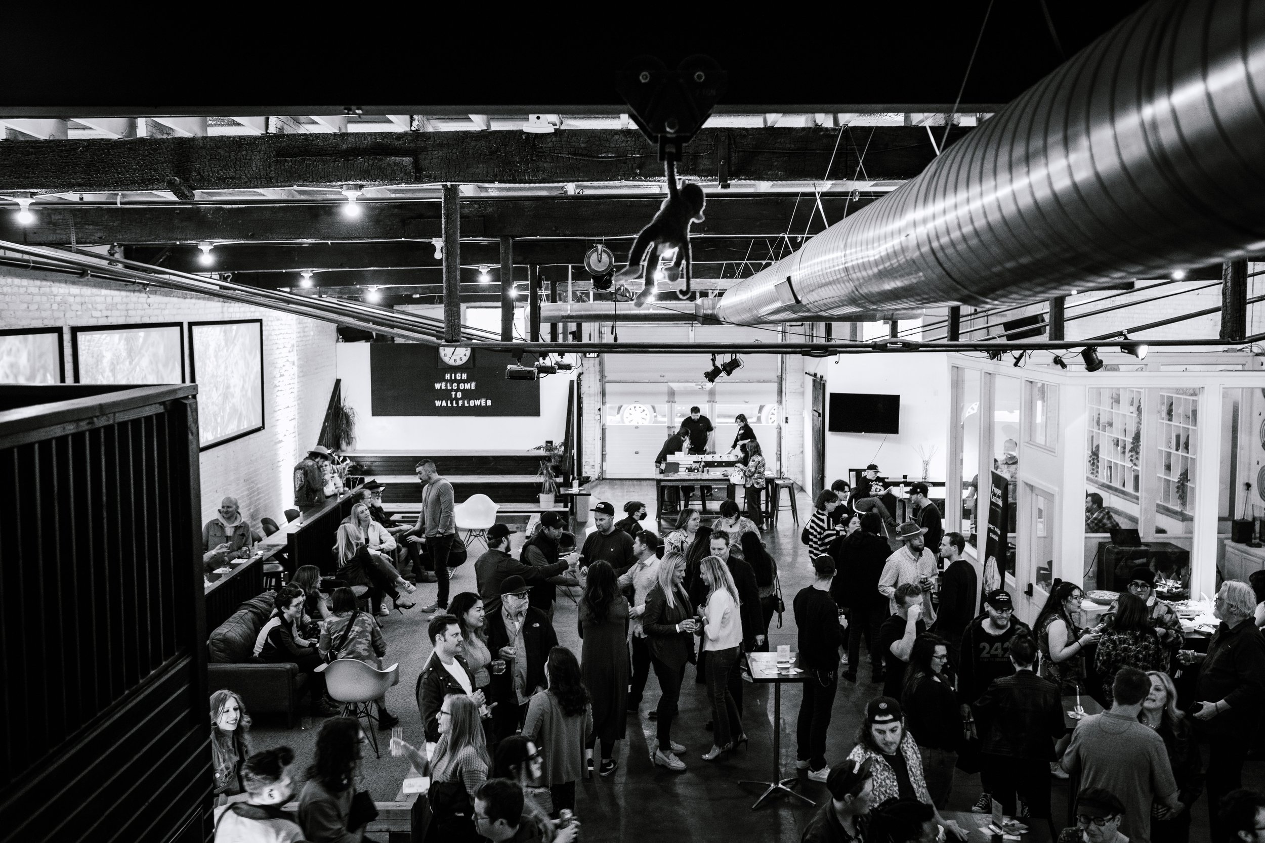 Wallflower group .jpg